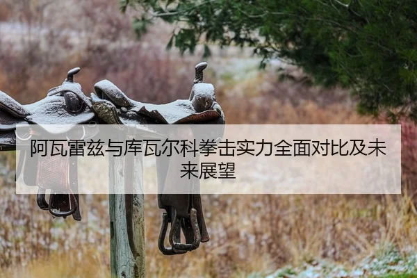 阿瓦雷兹与库瓦尔科拳击实力全面对比及未来展望